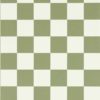 Blenets Check 113171